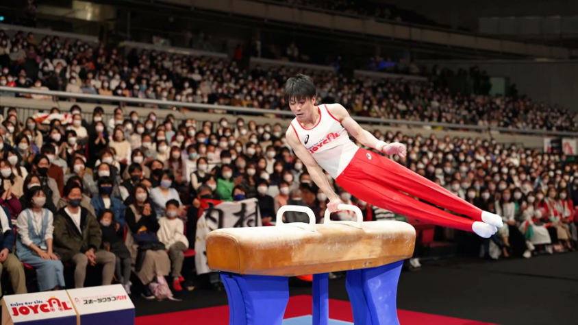 Pommel Horse