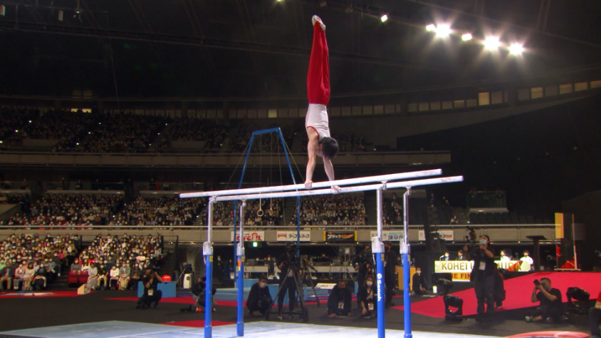 Parallel Bars